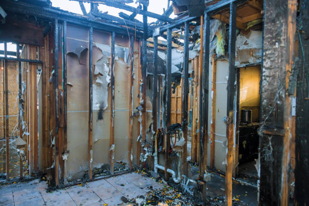 Professional Fire Damage Removal technician working in Basalt, CO